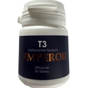 T3